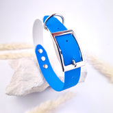 Zgardă Flydog Colorful Duo Blue and White