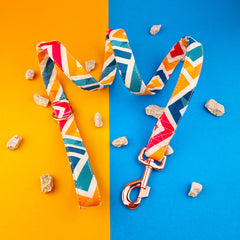 Lesă Flydog Luxury Pop Art