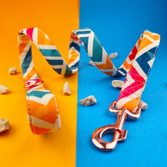 Lesă Flydog Luxury Pop Art