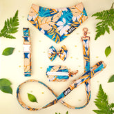 Set Flydog Luxury Hawaii