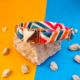 Zgardă Flydog Luxury Pop Art