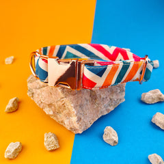 Zgardă Flydog Luxury Pop Art