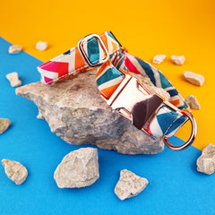 Zgardă Flydog Luxury Pop Art