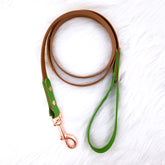 Lesă Colorful DUO Forest Brown & Green