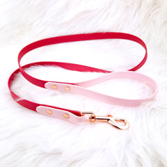 Lesă Colorful DUO Cherry Red & Lila