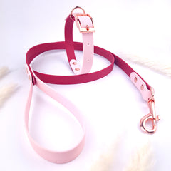 Set Colorful Duo Cherry and Lila