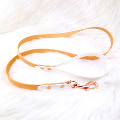 Lesă Colorful DUO Sand & White