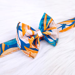 Papion Luxury Hawaii