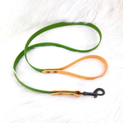 Lesă Colorful DUO Sand & Green