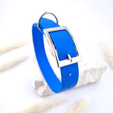 Zgardă Flydog Colorful Blue