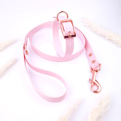 Set Colorful Pastel Pink
