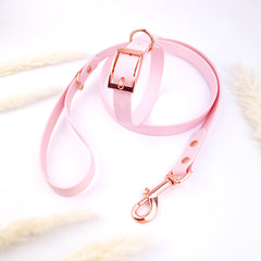 Set Colorful Pastel Pink
