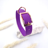 Zgardă Flydog Colorful Purple