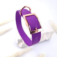 Zgardă Flydog Colorful Purple