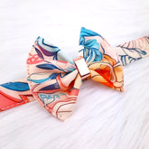 Papion Luxury Boheme