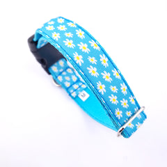 Designer Blue Chamomile