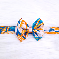 Papion Luxury Hawaii