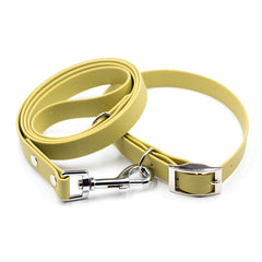 Set Colorful Olive Green