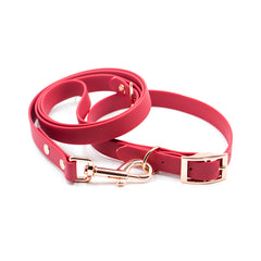 Set Colorful Cherry Red