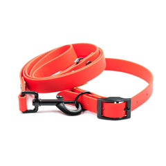 Set Colorful Toy Red