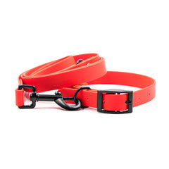 Set Colorful Toy Red