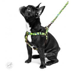 Ham Designer Green Monstera