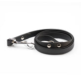 Lesă Colorful Black