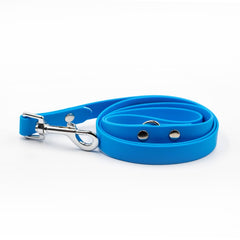 Colorful Ice Blue Leash