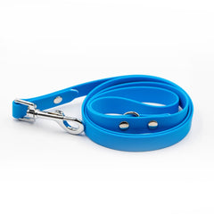 Colorful Ice Blue Leash
