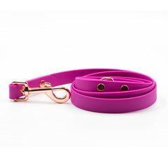 Lesă Colorful Liliac