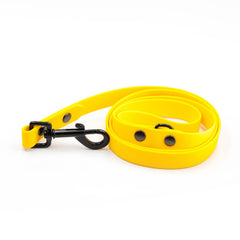 Colorful Yellow Leash