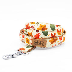 Set Designer Brown Autumn Leaf