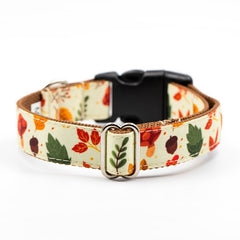 Set Designer Brown Autumn Leaf