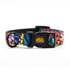 Set Designer Black Blue Flowers