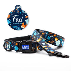 Set Designer Blue Winter Fox