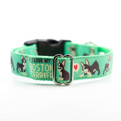 Set Designer Green Boston Terrier