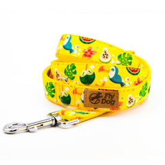 Set Designer Yellow Summer Vibe