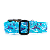 Designer Blue Sharks