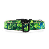 Designer Green Monstera Leaf