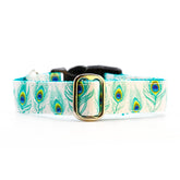 Designer Green Peacock Feather