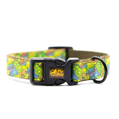 Designer Multicolor Abstract Art