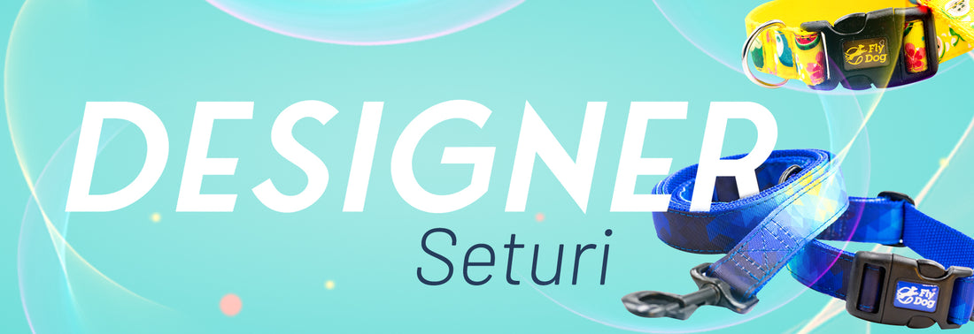 Seturi Designer