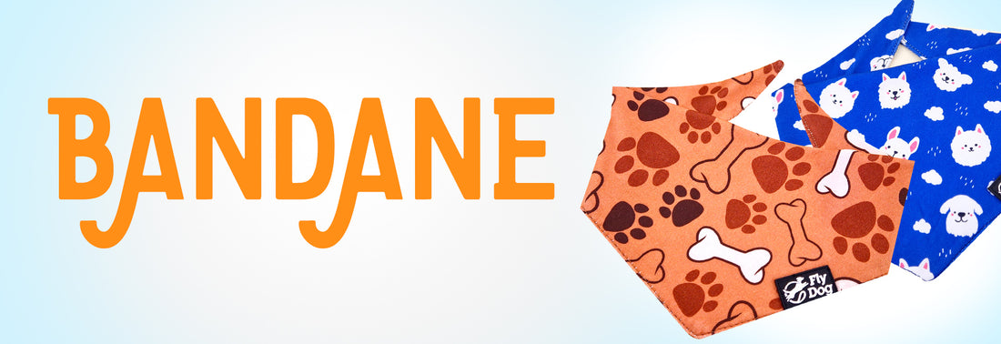 Bandane Flydog