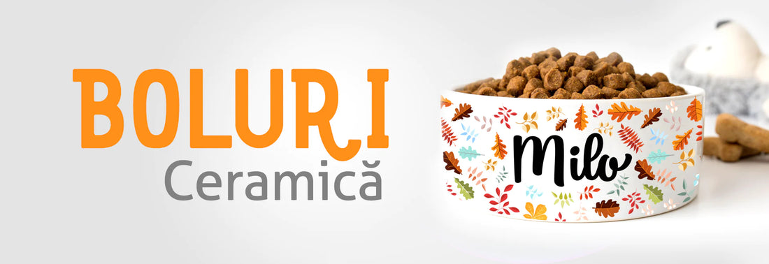 Boluri Ceramica Personalizate