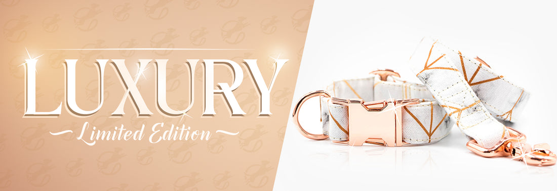 - FLYDOG LUXURY COLLECTION - COLLAR -