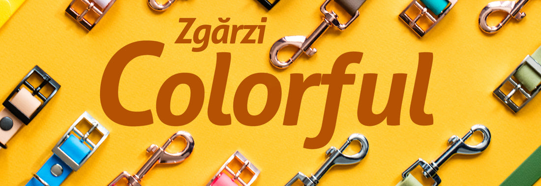 Zgărzi Colorful