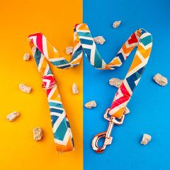 Lesă Flydog Luxury Pop Art