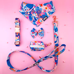 Set Flydog Luxury Coral