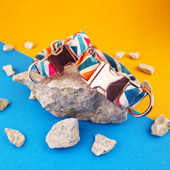 Zgardă Flydog Luxury Pop Art