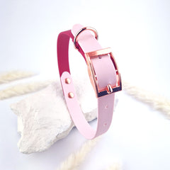 Zgardă Flydog Colorful Duo Cherry Red and Lila